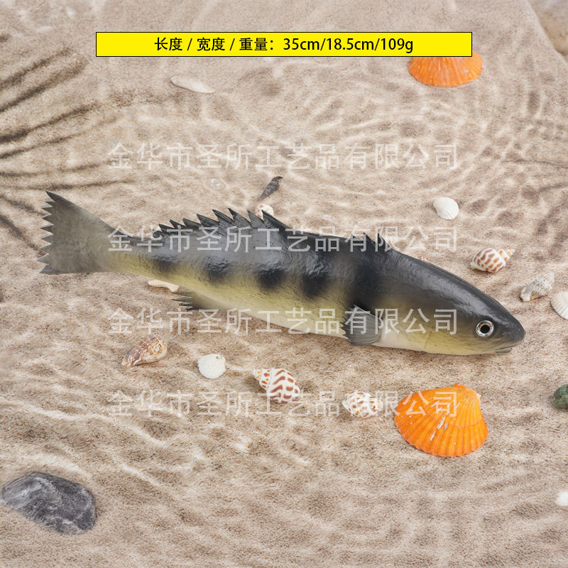 긴 오스만투스 물고기