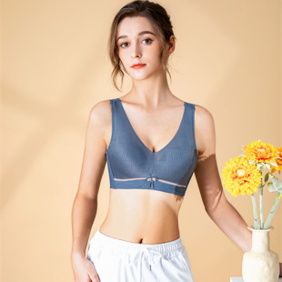 Hanerli 2299 vest-style thin Cup push-up underwear breast support anti-sagging bra new factory direct sales
