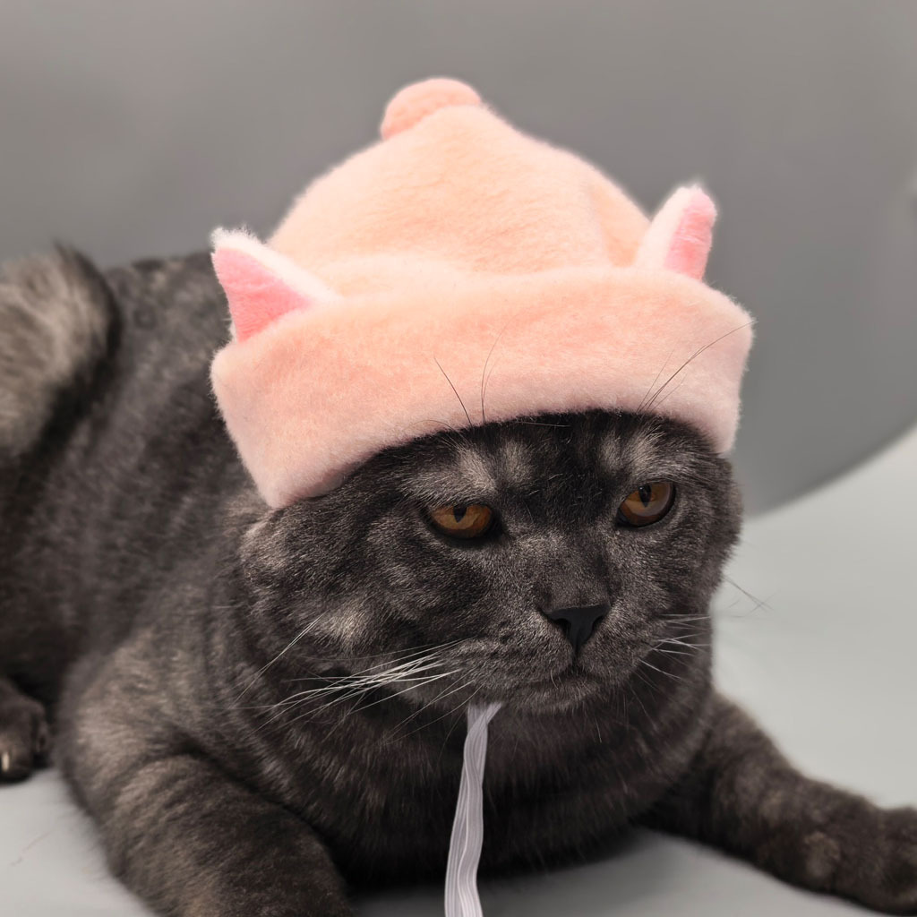 Gorro de pelagem sintética de coelho para gatos e cães_voghion.com