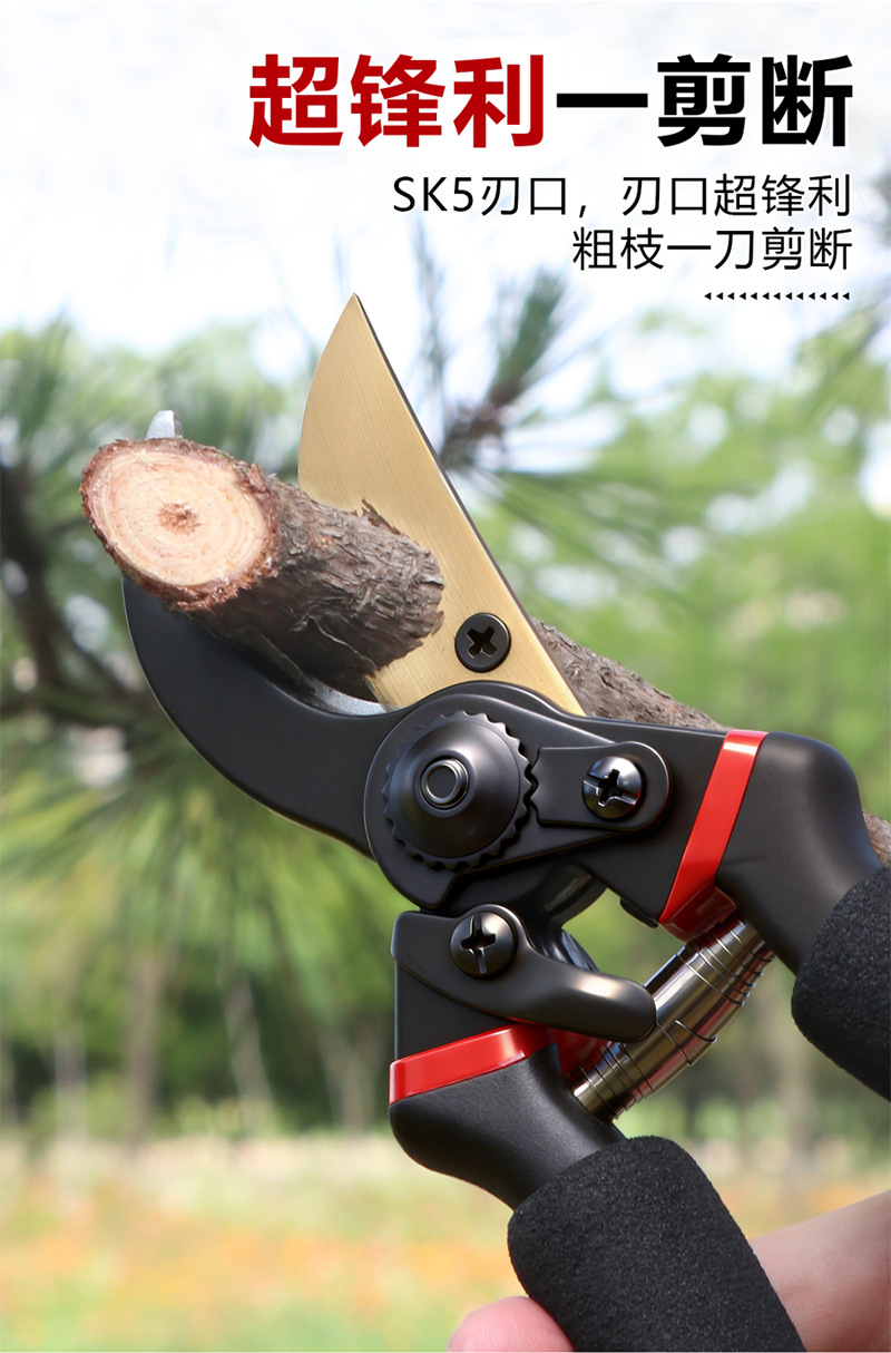 未标题-2_03.jpg