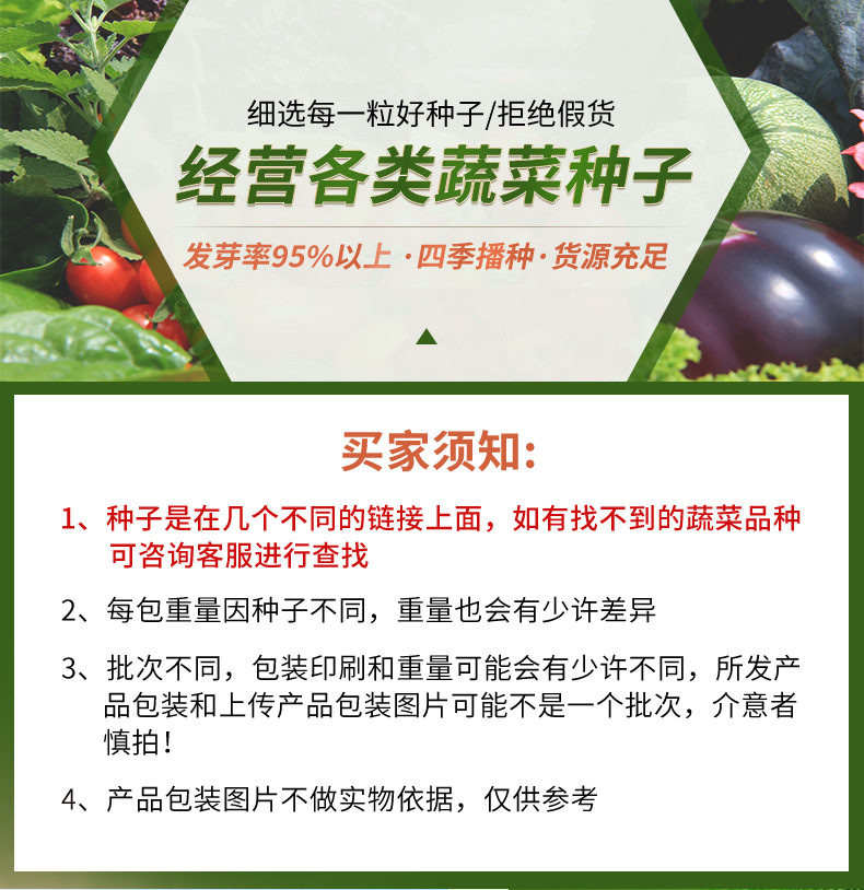 蔬菜种子_1_01