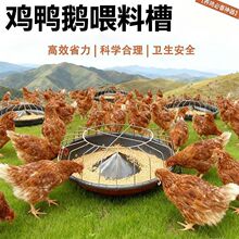 �u���Zʳ��ι�u���Zι�uʳ���Z�ϲ��u���Ӻ�ţ�������ÈA���uʳ��