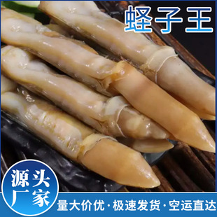 �|�������r���|���� �|�Ӻ����|�����r������ú������l