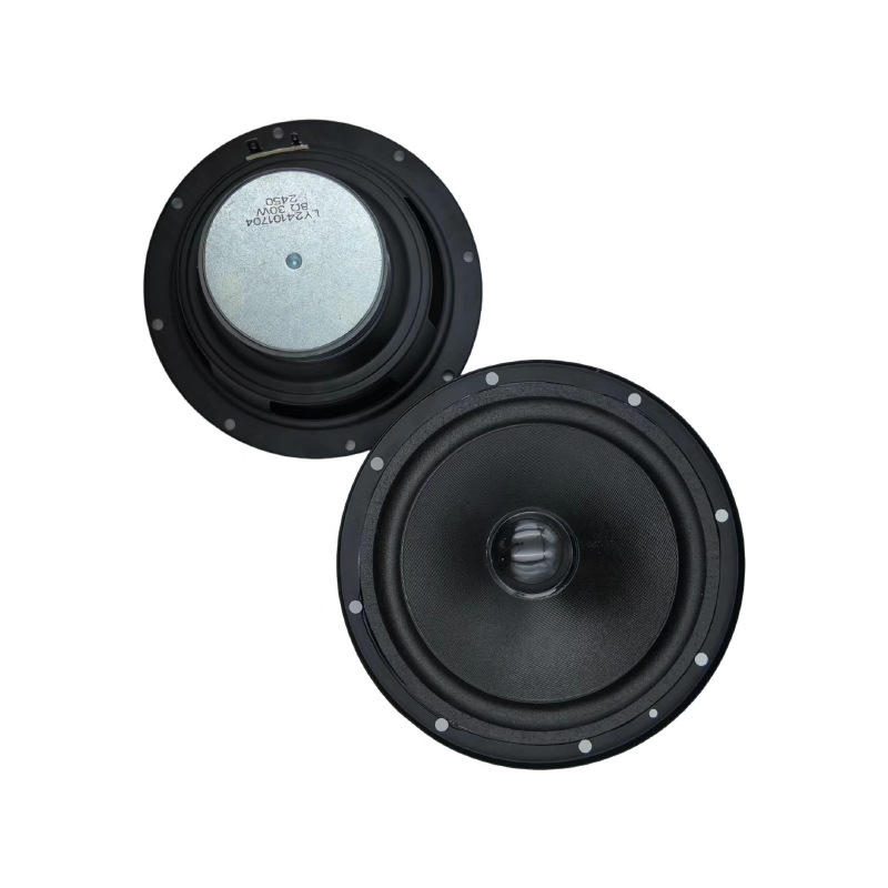 6.5 pulgadas 8omega 30W soporte de plegado positivo redondo lavabo de borde de tela de papel IPX5 impermeable fabricante de woofer medio magnético externo