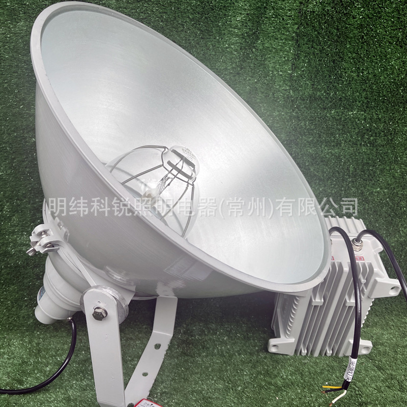 NTC9200�����ͳ�ǿͶ���1000W��±��IP65��ˮ�����������