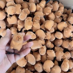 萌え神器のカピバラの髪飾りが可愛いです。