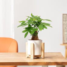 ����lؔ�䳣���ٽ�荻��~�J�C��Ƥ�m�����񶹰�G�B��ާ��������