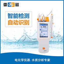 ϺPHBJ-260F ˮ|Ӌ |șzyx yʽPHӋ