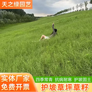 �ļ����ƺ�N�Ӹ���é��ѿ���ͺ����뻱�o�¹�ľ���̾G�����ܲ���