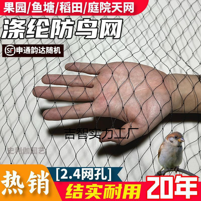 大棚专用防鸟网黑色涤纶果树防护网养殖鱼塘果园农田拦鸟天网批发