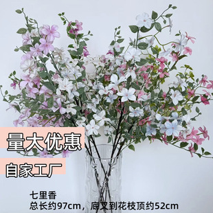 ���滨��֧������Mɽ�t���^�ٻ���c�Ƶ껨���b������S�����l