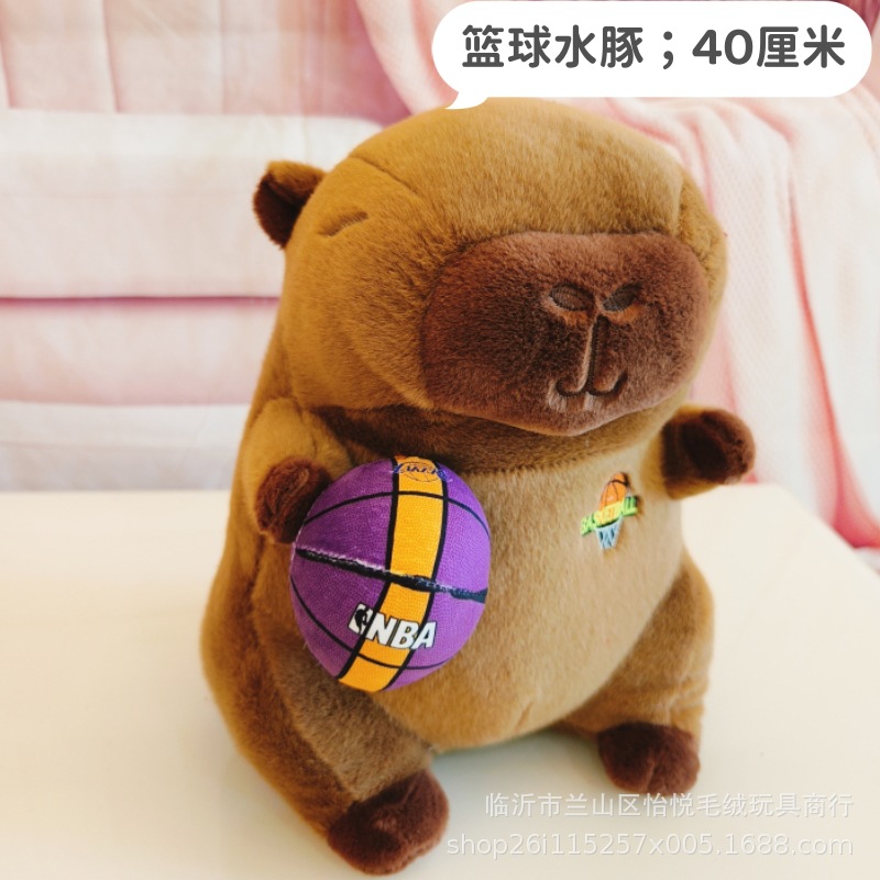 Marsopa sin aletas con bolas en brazos