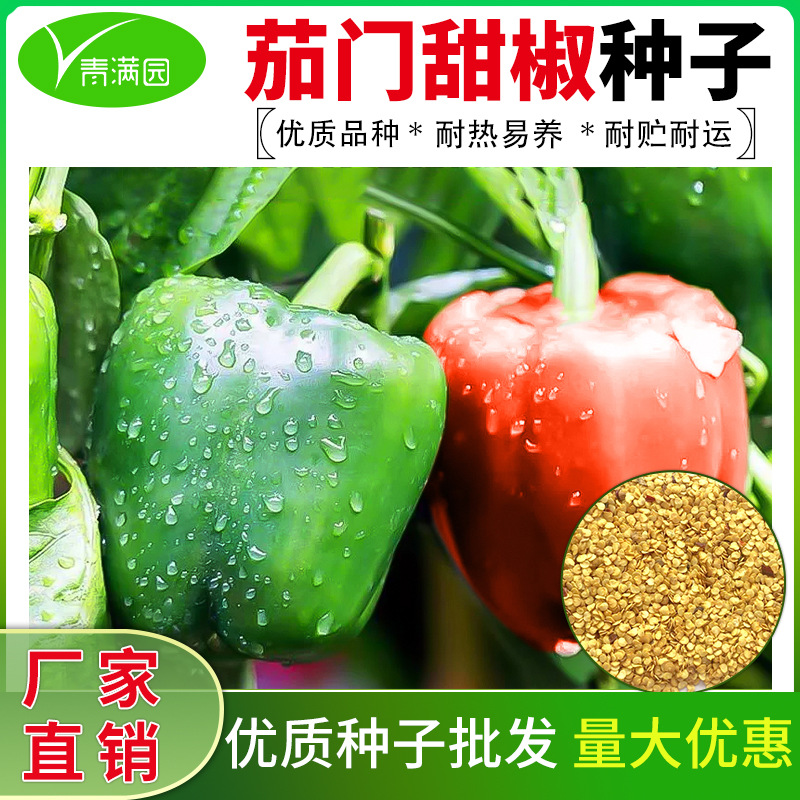 批发甜椒种子青椒菜椒灯笼椒小米辣椒朝天椒线椒螺丝椒美人椒种籽