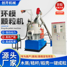 大型环模颗粒机 生物质颗粒机 木屑秸秆颗粒加工杂木燃料全套设备
