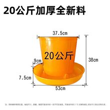 10ֻ�b20�������Ͱ���Ͱ�u���Z�ϲ�ιʳ�� ʳͰʳ�ۼ�����Ʒ