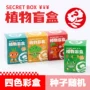 手工儿童作业桌面小盆栽