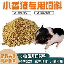 小香猪粮食主粮营养丰富宠物全套零食食物狂吃不胖小香猪饲料粮食
