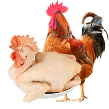 ���u�����u���u�r�ҹ��u������u�����u��ɽ�u���u����S���]