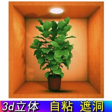 3d���w���N�����T�N���T�b����N��ԡ�Ҡ����a�������z�N��