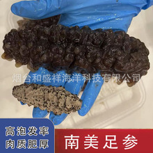 南美足参 500g 肉厚款 高泡发率 南美洲大海参干海参营养