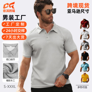 �¿�W���羳���R�d��ʿ�A���POLO���ļ��~���R�������e�\��T��