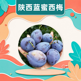 ���μ���{����÷ ���l1/3/5�������֭������������������rˮ��