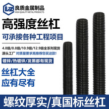定制高强度丝杠国标氧化发黑全牙细扣反扣全螺纹螺杆梯形扣丝杠
