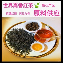 秋茶高香原料供应英德红茶英红九号茶叶散装批发欧盟标准