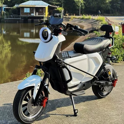 Elektrikli motosikletlər for Export, Long-Range Electric