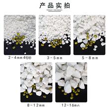 纯白石英砂白色细沙水处理白沙过滤料白砂酒店垃圾桶灭烟沙专用
