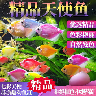 ��ʹ�~�^�p�~��̖Ⱥ�Α���С�͵�ˮ���B�ͻ�t��ʹ�ϻ��Ꭷ�~�~��