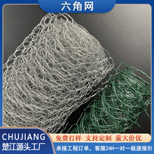 �������ǾW�羳��\�Q���W���BĨ�������F�z�W�˵��Bֳ��\���ǾW