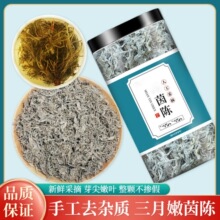 茵陈中药材正宗精选新货三月绵茵陈茵陈草茶白蒿陈蒿