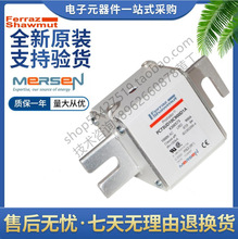 Ferraz �����۶��� PC73UD13C500D1A E300568 ����ɭMersen 500A