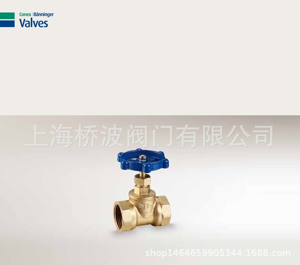 BAJV丝口型黄铜截止止回阀 1