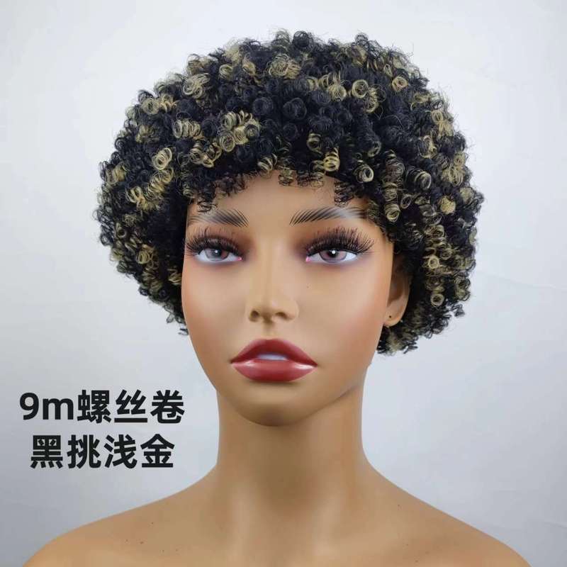 Short Hair Afro Kinky Curly Wigs For Women 100g爆炸头真人发|undefined