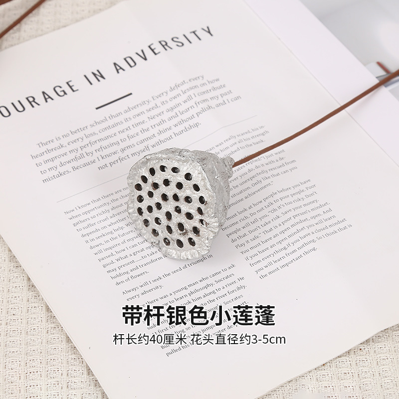 줄기가 있는 작은 은색 연꽃