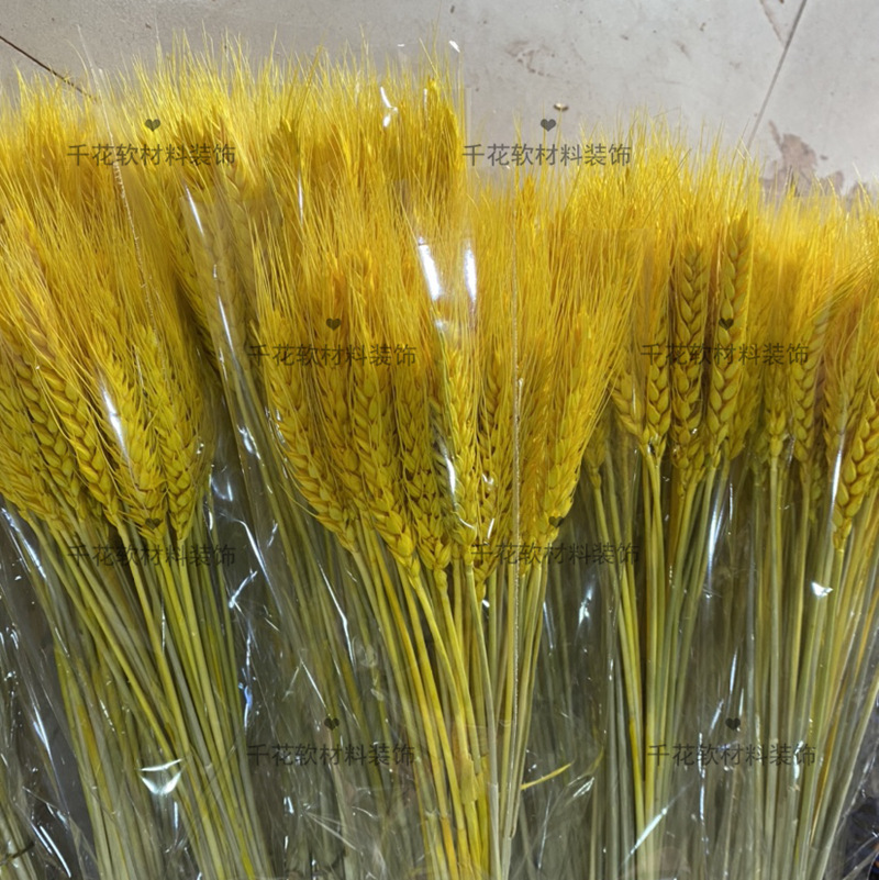 风干麦穗干花材料小麦麦子开业庆典装饰橱窗摆放麦穗 阿里巴巴