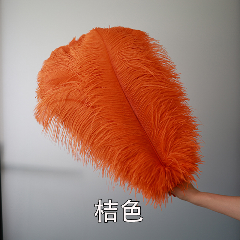 Fabricantes de pelaje de avestruz 50 - 55CM boda guía de la mesa flor de plumas de avestruz adornos de red pared roja plumas de espectáculo de escenario image 23