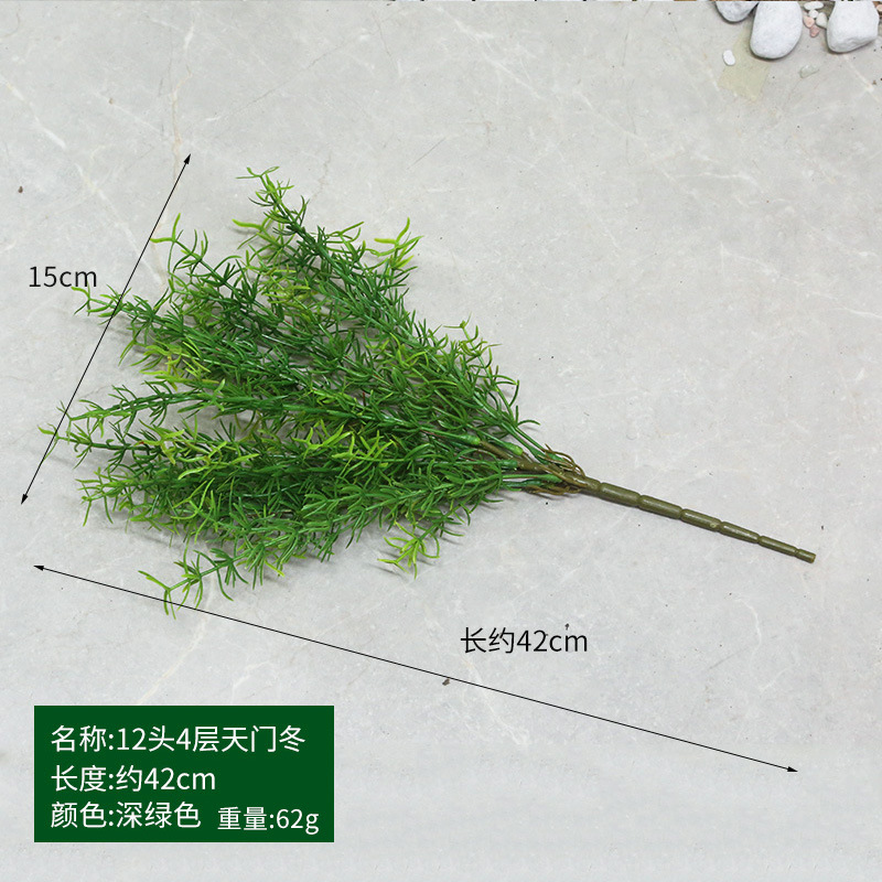 B-Verde Oscuro - Asparagus