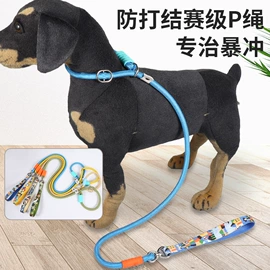 狗狗牵引;猫猫牵引;宠物项圈