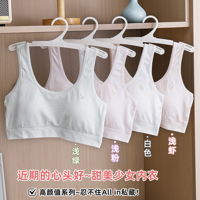 Girls' underwear, suitable for early and late adolescence, for junior and senior high school students: sports bra, shock-absorbing, seamless, designed for teenage girls during their developmental stage Girls' underwear, suitable for early and late adolescence, for junior and senior high school students: sports bra, shock-absorbing, seamless, designed for teenage girls during their developmental stage
