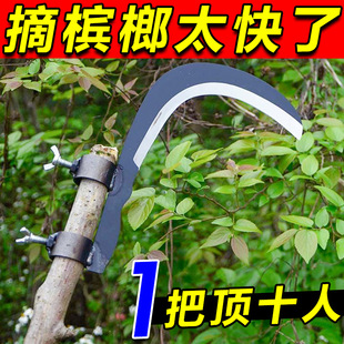 �i䓙��Ƶ��r�Ñ����ˮ�ݵ��߿�ժ���㽶��֦���ó���砵��๦��