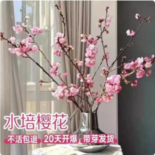 ��ɫ�ѻ�ˮ���r��֧�r���҃Ȳ廨���͏d���þGֲ�k������������