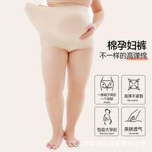 工厂现货大码无缝高腰孕妇内裤高弹不勒孕肚透气全孕期棉三角内裤