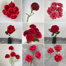 ��c�tɫϵ�л��ķ��滨õ�彑���Y��ܛ�b����·���廨������ˇ