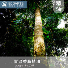 �Ű���֬���Ͱ����M�ھ���ԭ�Ϙ�֬���s���Ͷ��ㄩ��������ԭ��