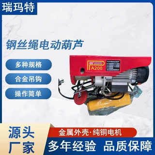 定制钢丝绳电动葫芦瑞玛特微型吊机家用小型起重机悬挂式升降机
