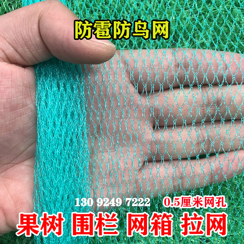 防鸟网果园果树防鸟用的网葡萄樱桃防鸟罩大棚阳台户外小孔防雹网