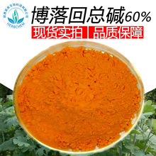 博落回总碱60% 现货血根碱40%白屈菜红碱20%博落回提取物批发